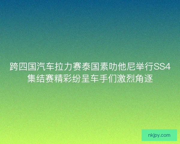 跨四国汽车拉力赛泰国素叻他尼举行SS4集结赛精彩纷呈车手们激烈角逐